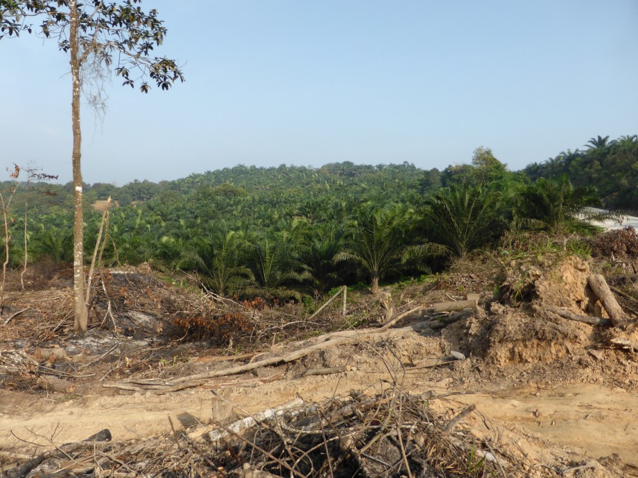 P1000034