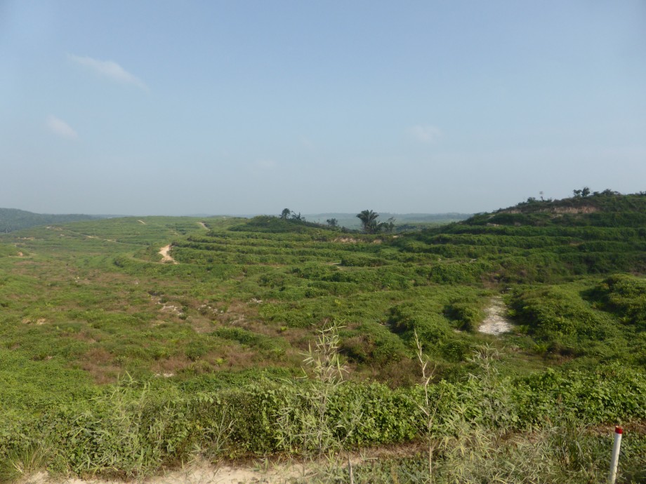 P1000050