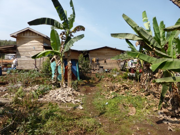 P1000250