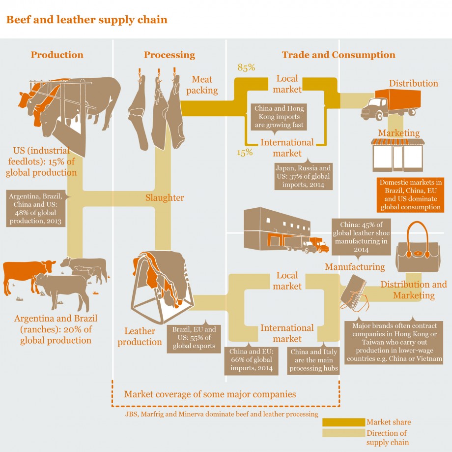 347696_beef-and-leather-supply-chain.1-01