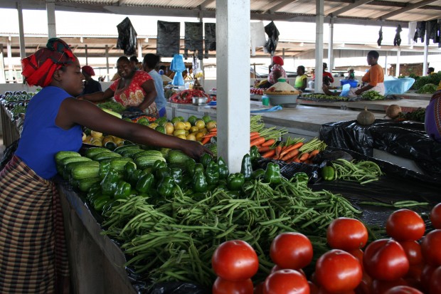 Markets-are-critical-to-the-success-of-smallholder-farmers-credit-Busani-Bafana-IPS
