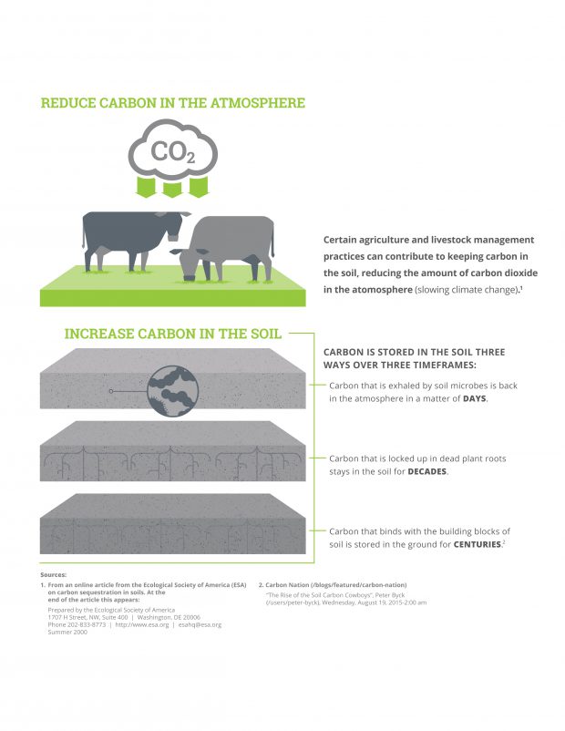 grsb_infographics-01