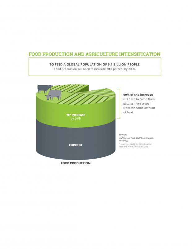 grsb_infographics-02