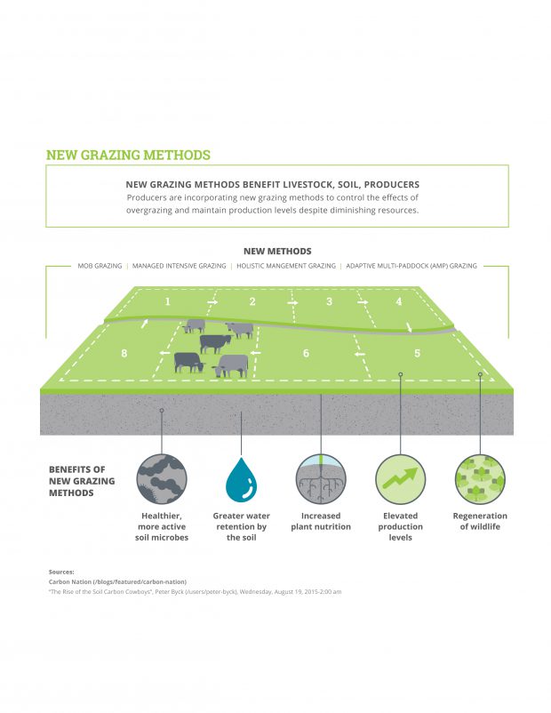 grsb_infographics-03-2