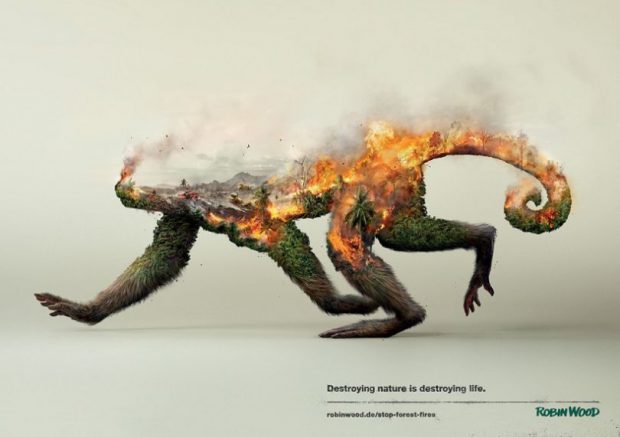 illustrations-show-how-destroying-nature-destroys-life-1-810x571