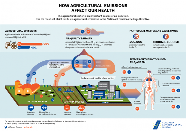 eeb_ag_infographic_hr-01